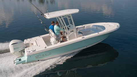 Robalo 246 Cayman钓鱼艇