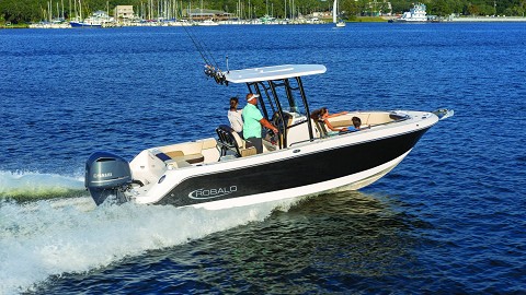 Robalo 242 Explorer钓鱼艇