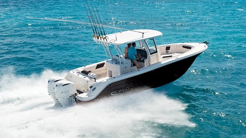 Robalo R302钓鱼艇